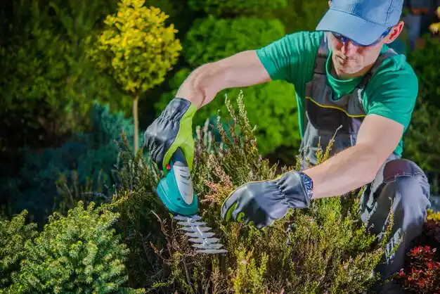 landscaping services Bellevue